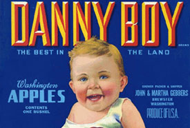 Danny Boy Apples Blue Background Baby Illustration