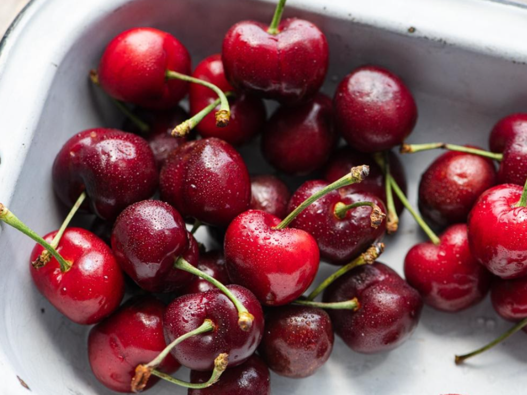 Red Cherries with Water Droplets Close Up