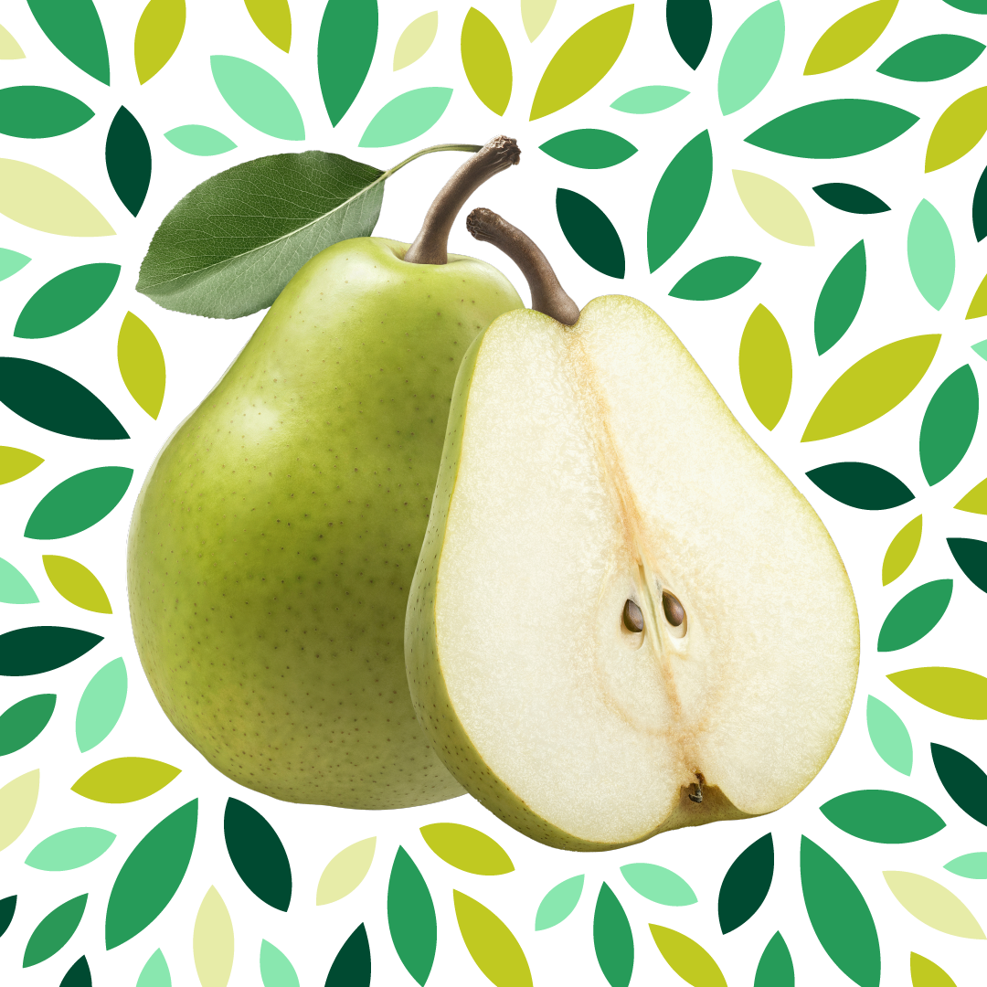 Pears with Multicolor Leaf Illustration and Transparent Background