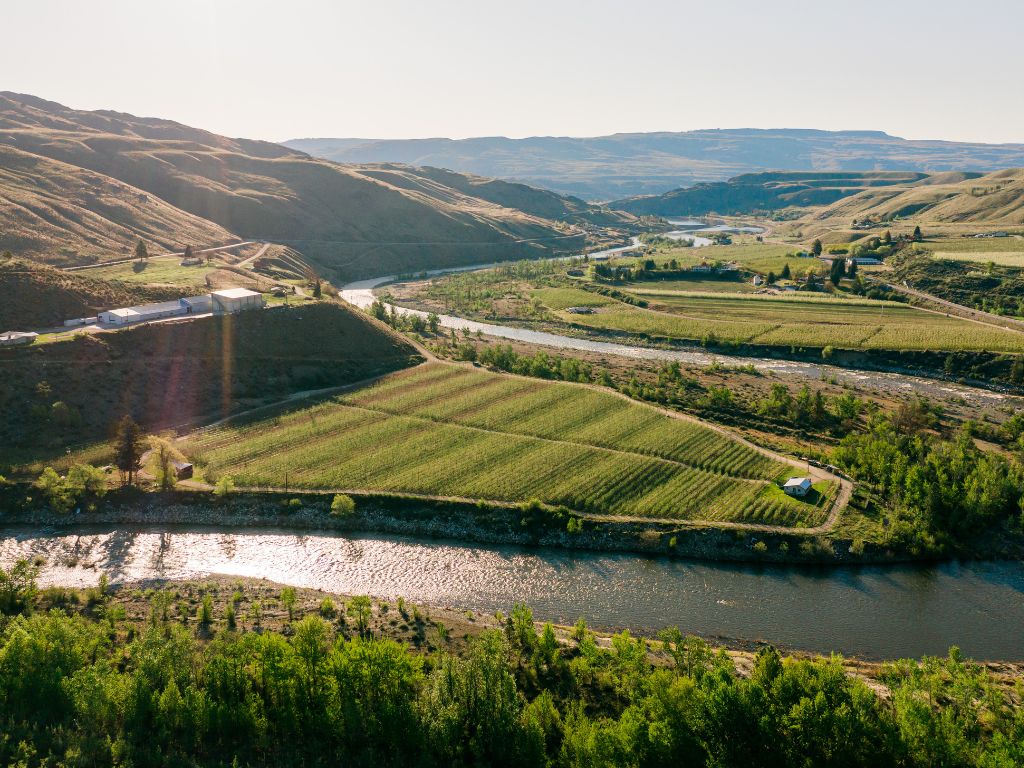A River Winding Around an Orchard on a Sunny Day