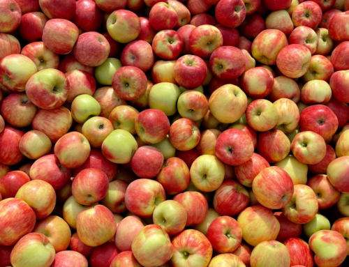 Farm Friday – Food Grade Wax On Apples