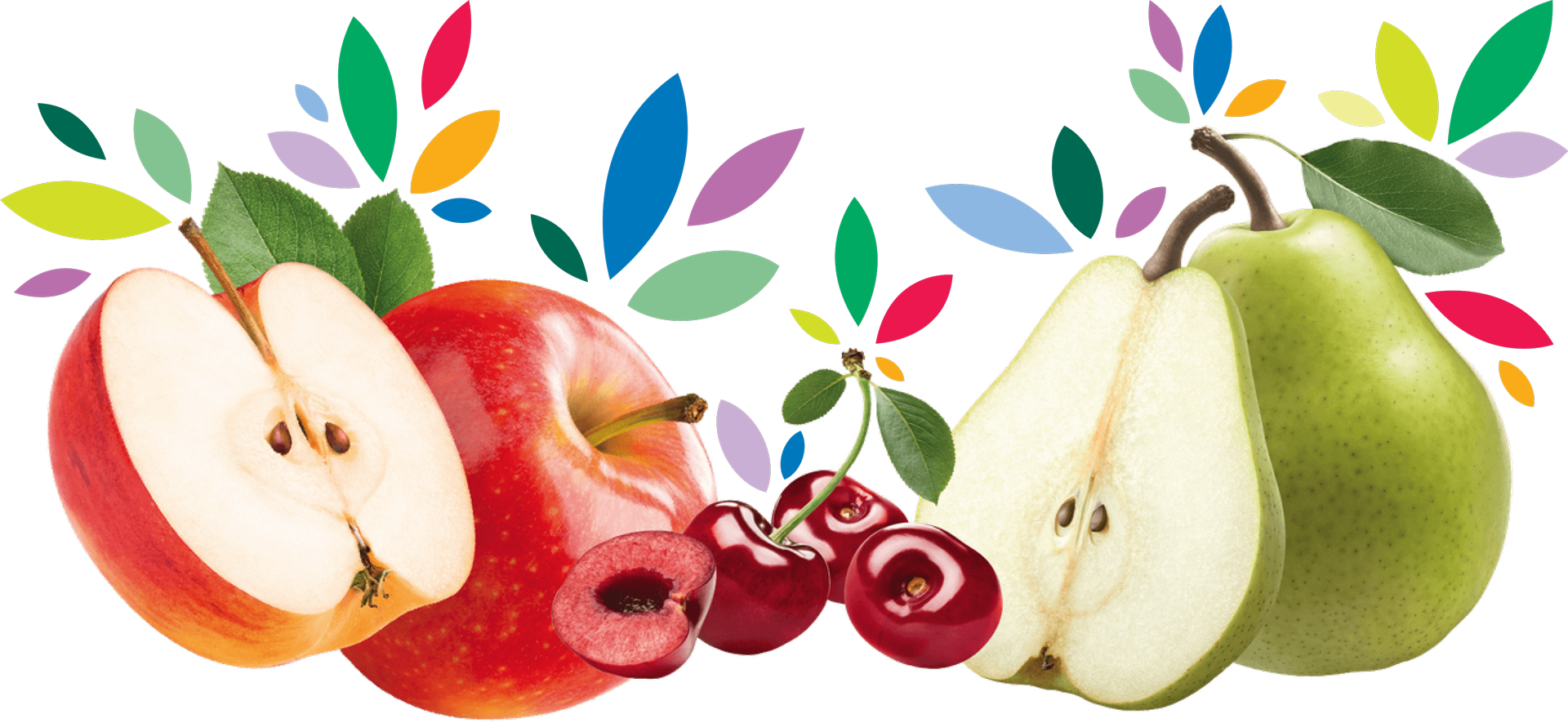 apples_cherries_pears